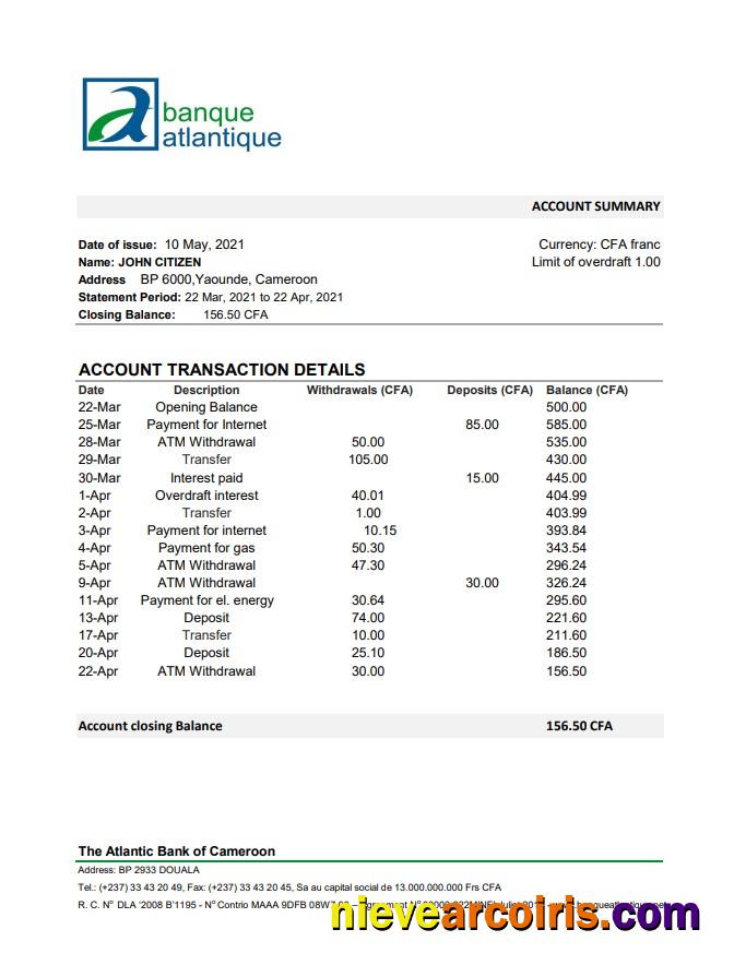 Cameroon Atlantic Bank excel